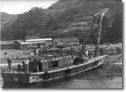 �������c�V�`�̎ʐ^