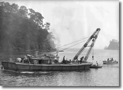 �B��S���̎ʐ^